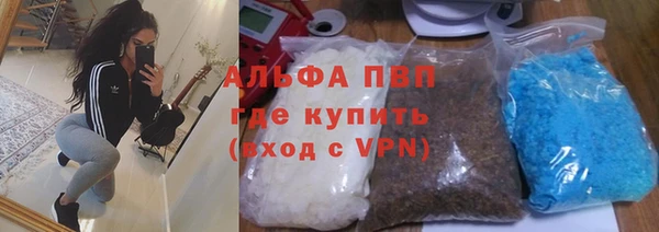 стаф Нягань