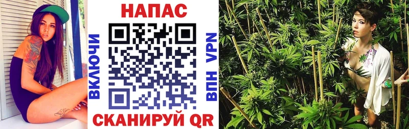 Купить  Алексин  Каннабис гибрид 